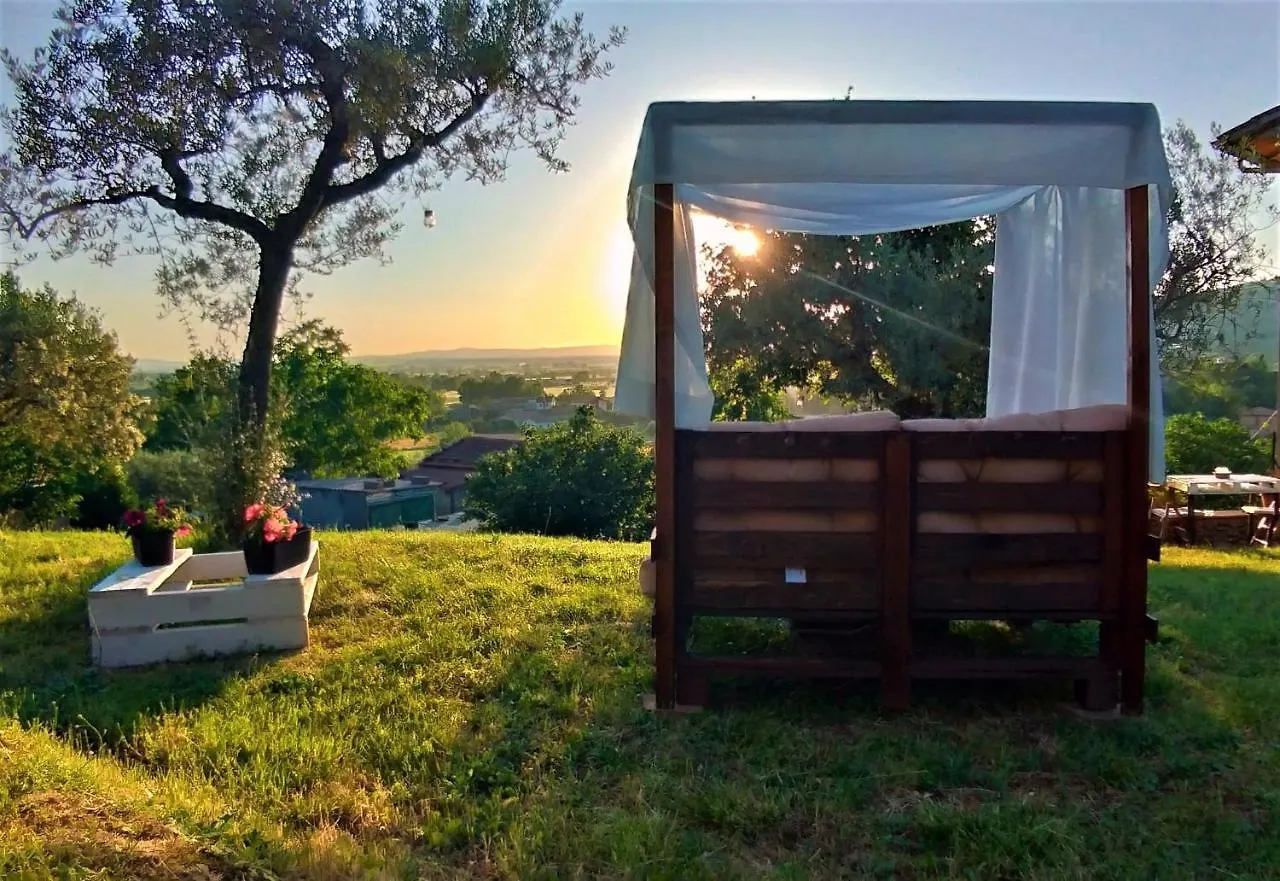 La Casa Tra Gli Ulivi Bed & Breakfast Cortona 0*,  Italy