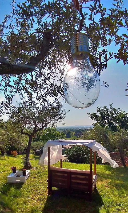 La Casa Tra Gli Ulivi Bed & Breakfast Cortona 0*,
