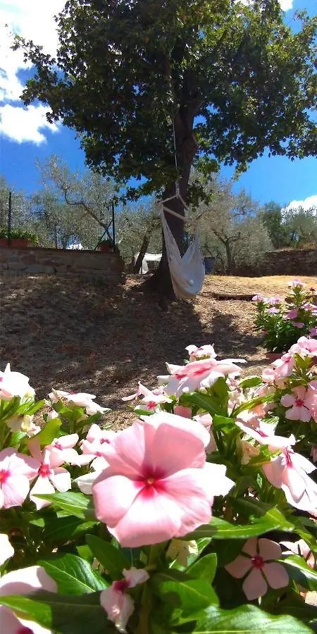 La Casa Tra Gli Ulivi Bed & Breakfast Cortona
