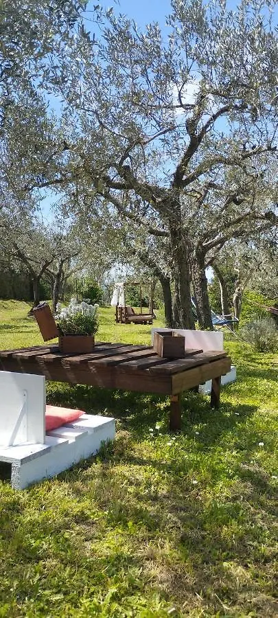La Casa Tra Gli Ulivi Bed & Breakfast Cortona