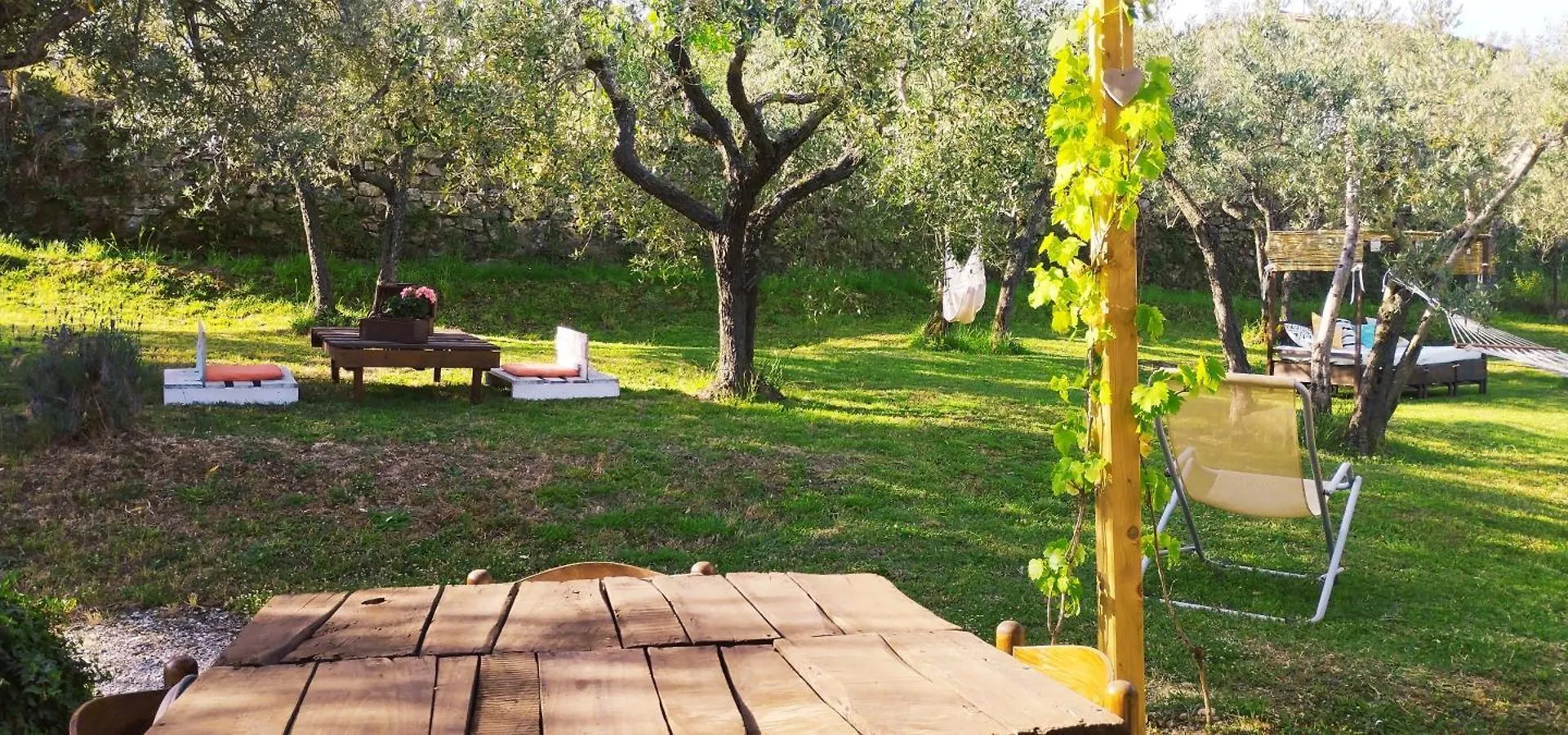 La Casa Tra Gli Ulivi Bed & Breakfast Cortona