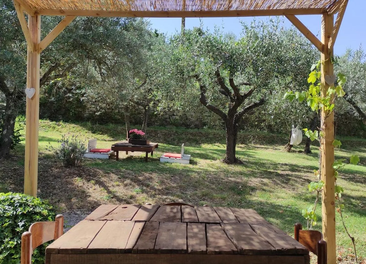 La Casa Tra Gli Ulivi Bed & Breakfast Cortona Italy